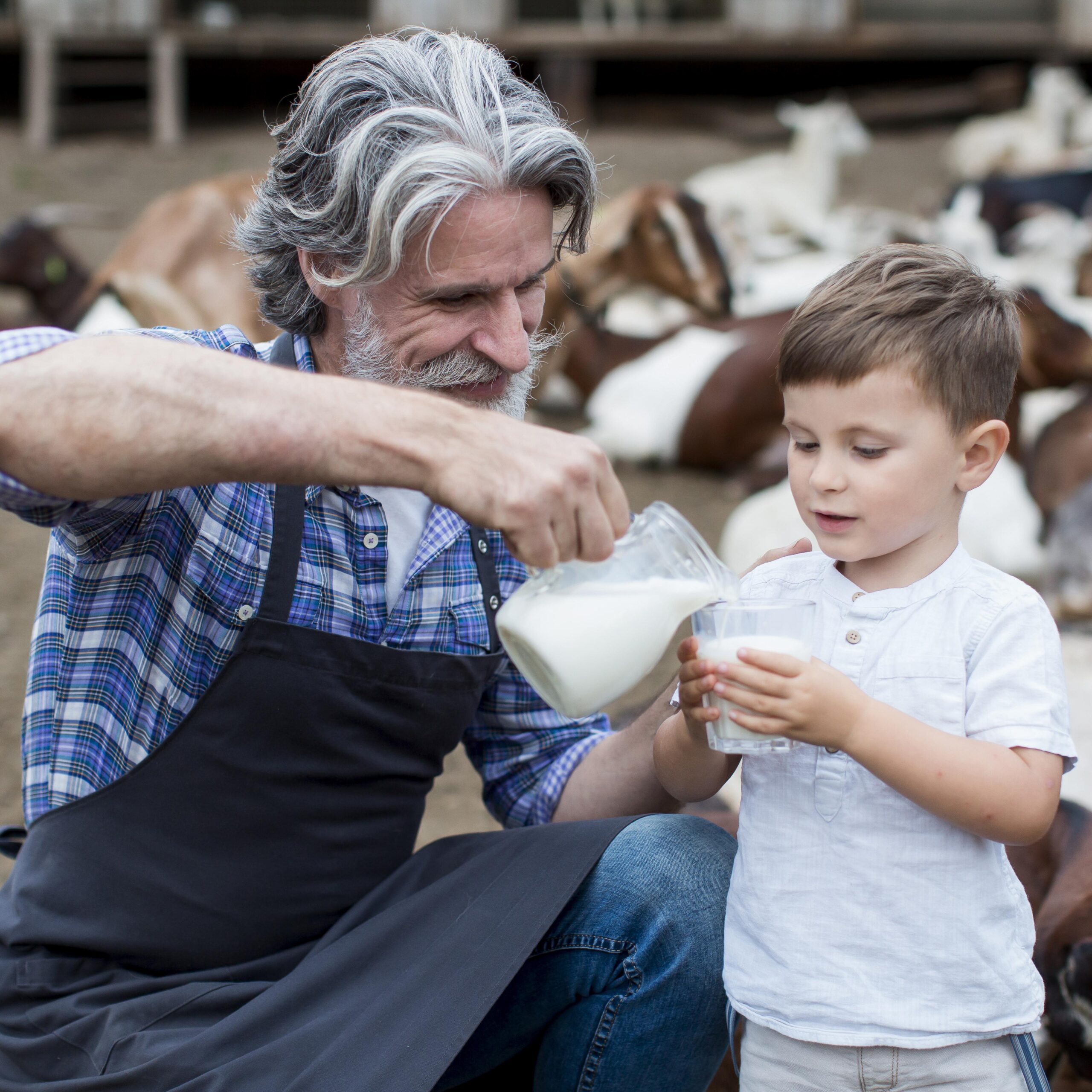 How to Choose the Best Milk Analyzer: A Comprehensive Guide